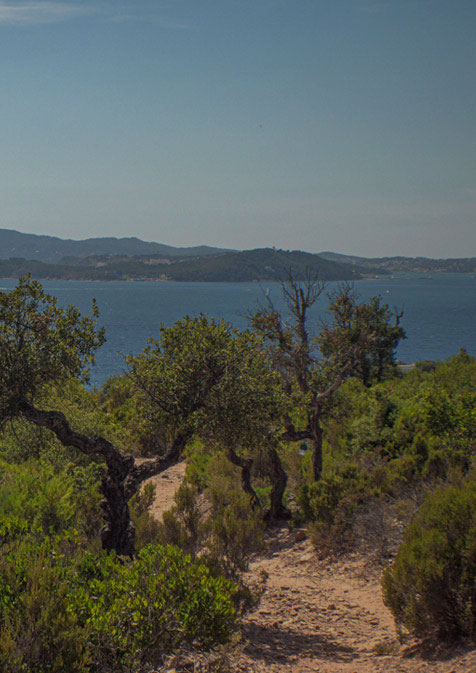 LA GARRIGUE